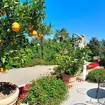 Delle Palme Hotel